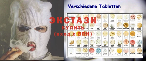 ECSTASY Богородицк