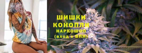 ECSTASY Богородицк