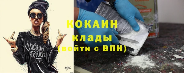 спиды Бородино