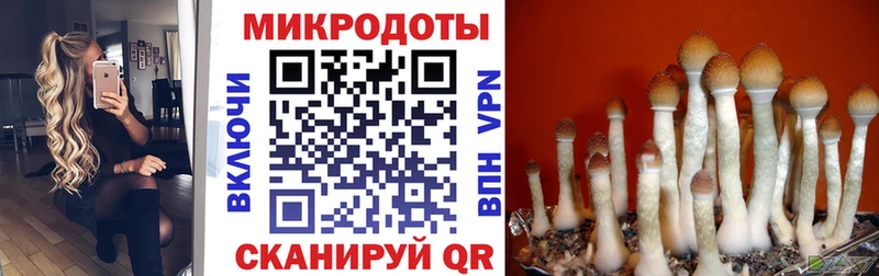 хочу Берёзовка Галлюциногенные грибы прущие грибы